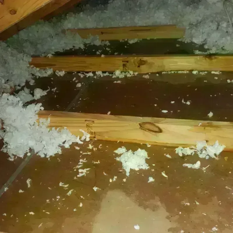 Attic Water Damage in Kingsbury County, SD