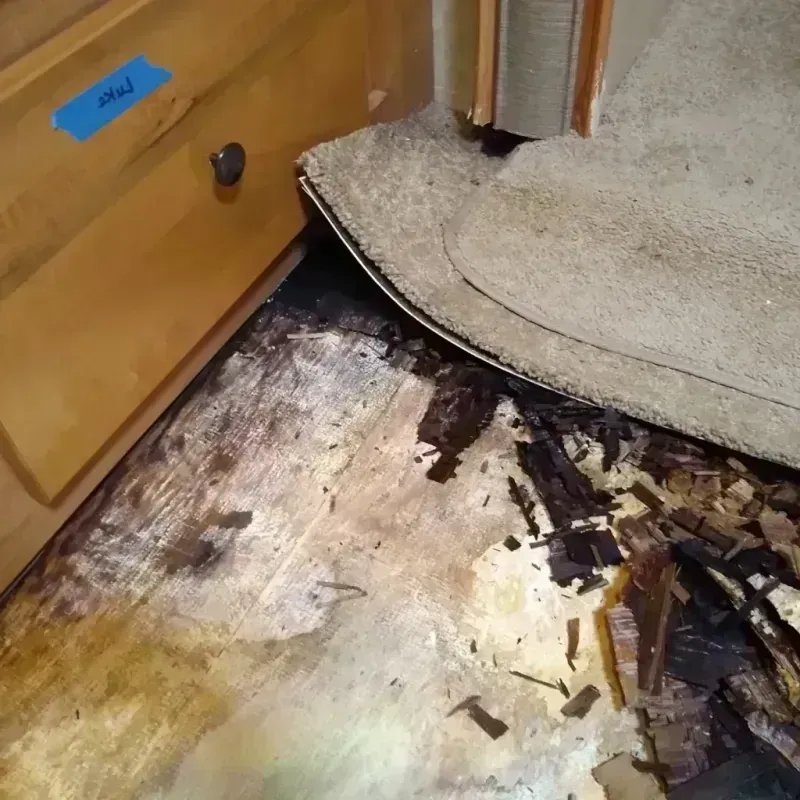 Wood Floor Water Damage in Kingsbury County, SD